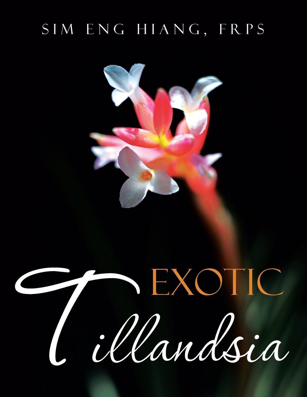 Cover: 9781482829495 | Exotic Tillandsia | Eng Hiang Frps Sim | Taschenbuch | Paperback