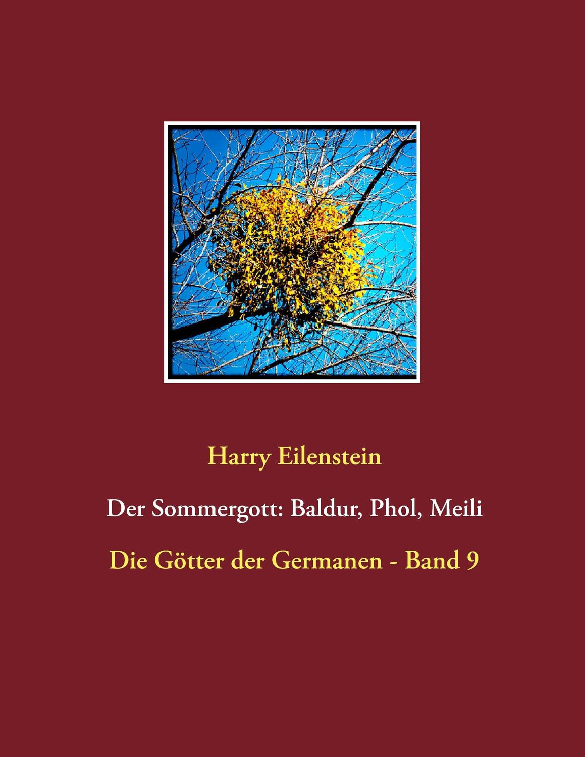 Cover: 9783741294716 | Der Sommergott: Baldur, Phol und Meili | Harry Eilenstein | Buch