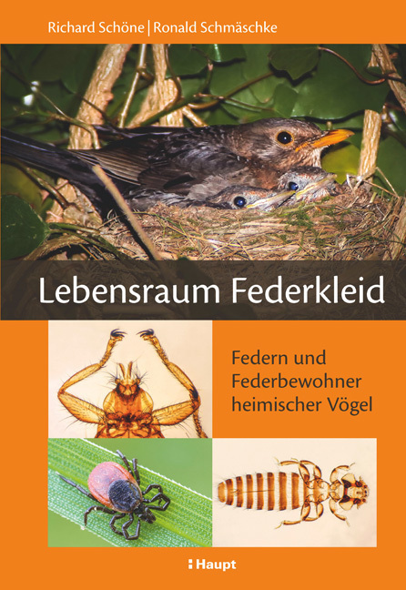 Cover: 9783258079066 | Lebensraum Federkleid | Federn und Federbewohner heimischer Vögel