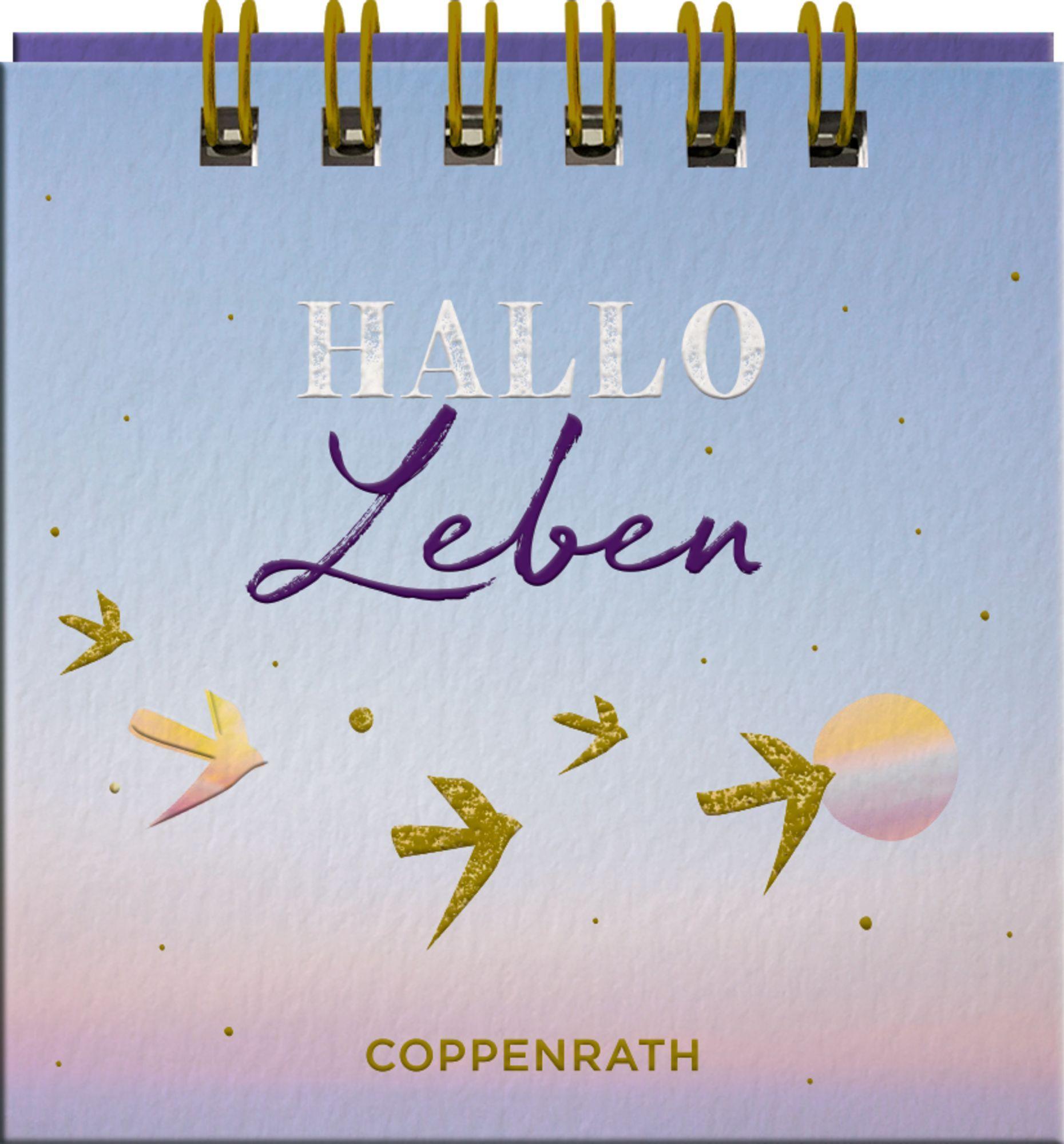 Bild: 9783649647317 | HALLO Leben | Christina Kölsch | Taschenbuch | Spiralbindung | 24 S.