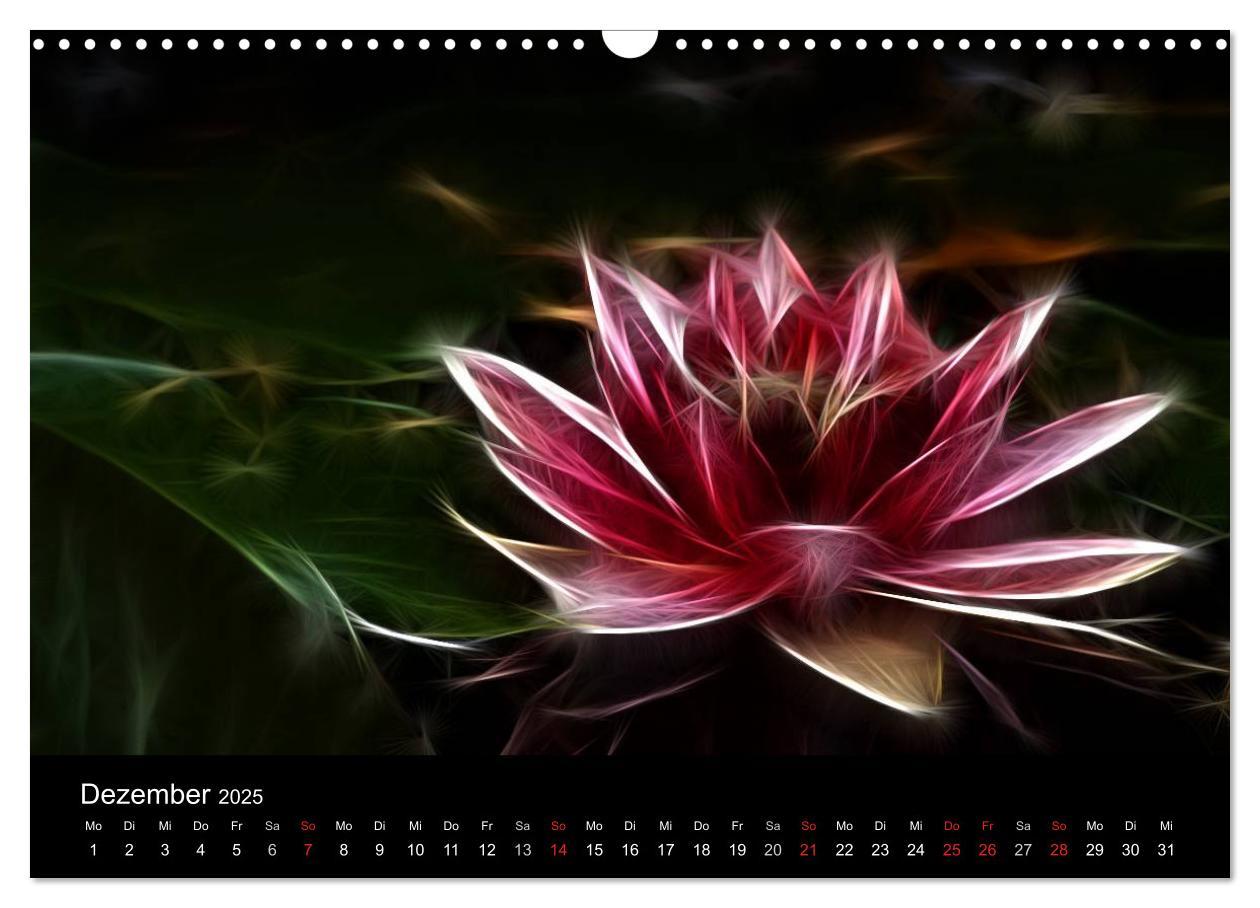 Bild: 9783435771554 | Floral Abstrakt 2025 (Wandkalender 2025 DIN A3 quer), CALVENDO...