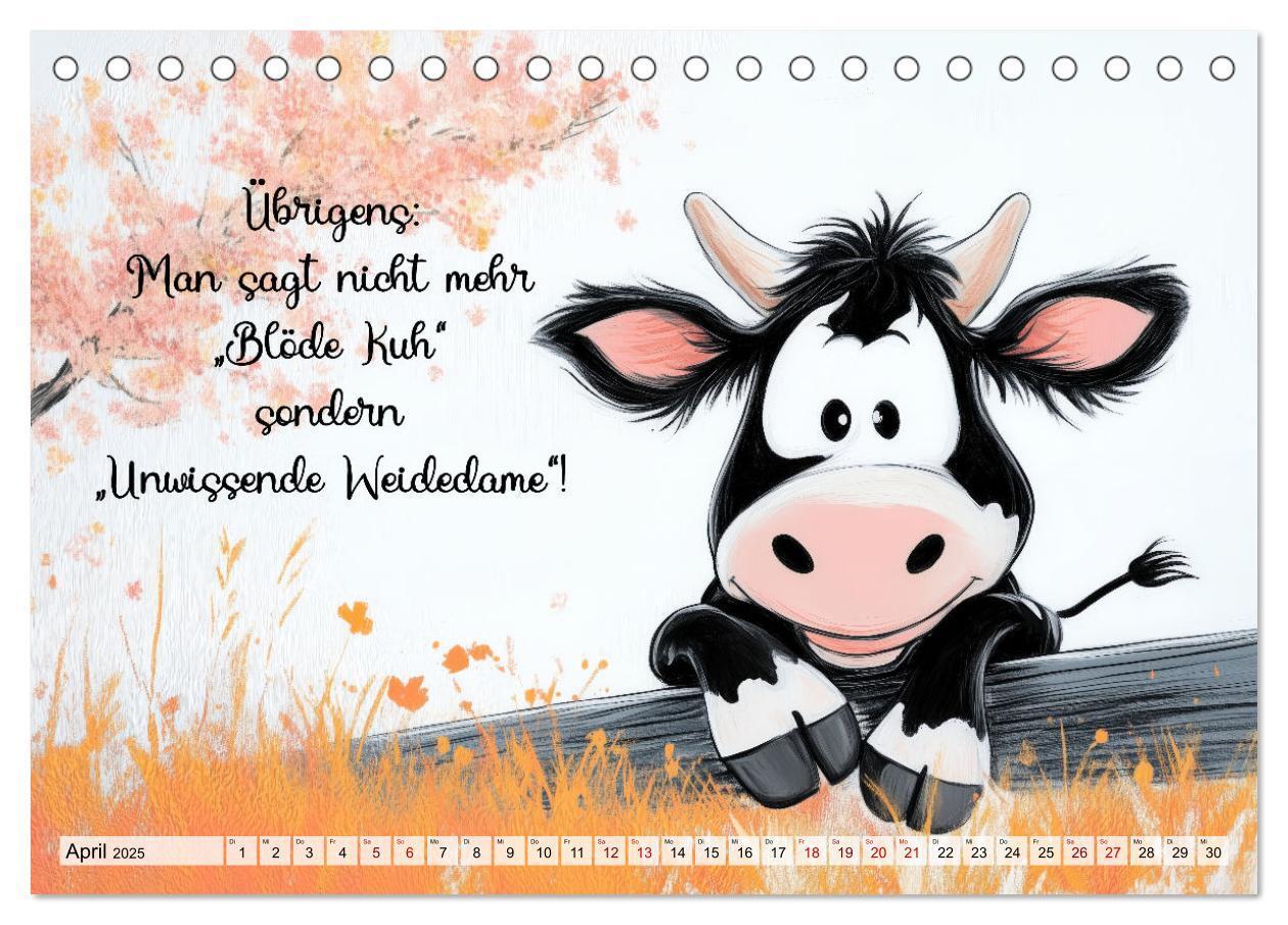 Bild: 9783457187074 | Kuhle Sprüche (Tischkalender 2025 DIN A5 quer), CALVENDO...