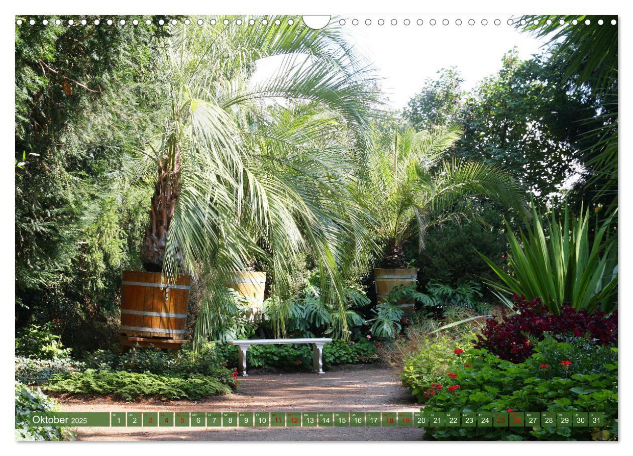 Bild: 9783435025787 | Im Wörlitzer Gartenreich (Wandkalender 2025 DIN A3 quer), CALVENDO...