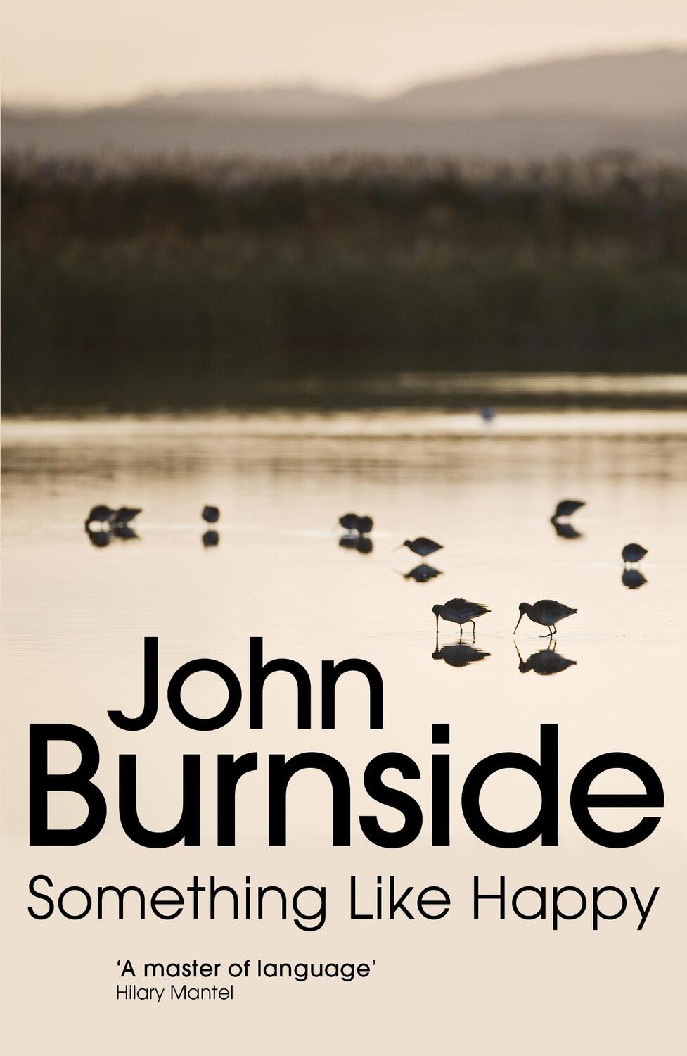 Cover: 9780099575597 | Something Like Happy | John Burnside | Taschenbuch | 256 S. | Englisch