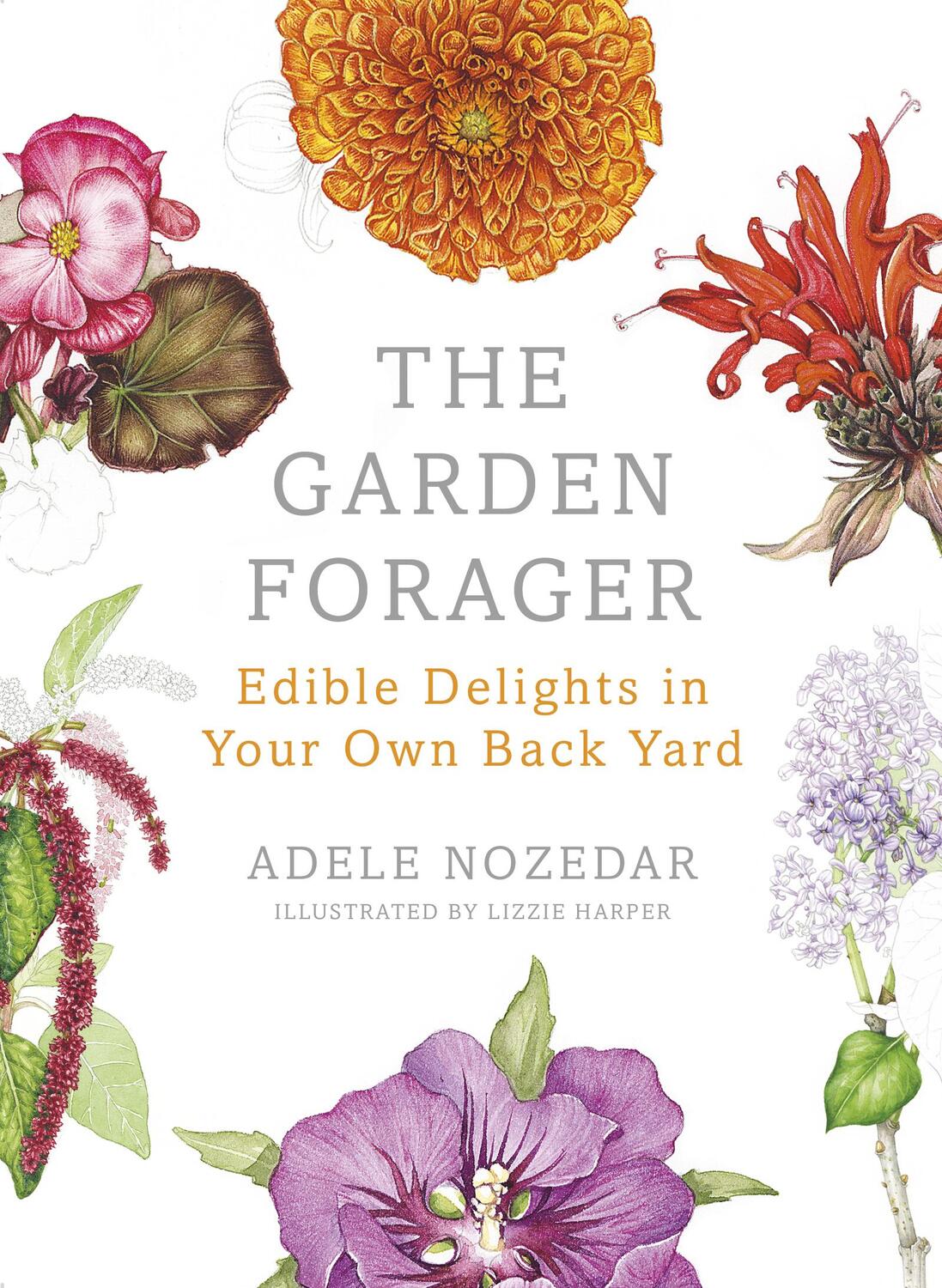 Cover: 9780224098892 | The Garden Forager | Edible Delights in your Own Back Yard | Nozedar