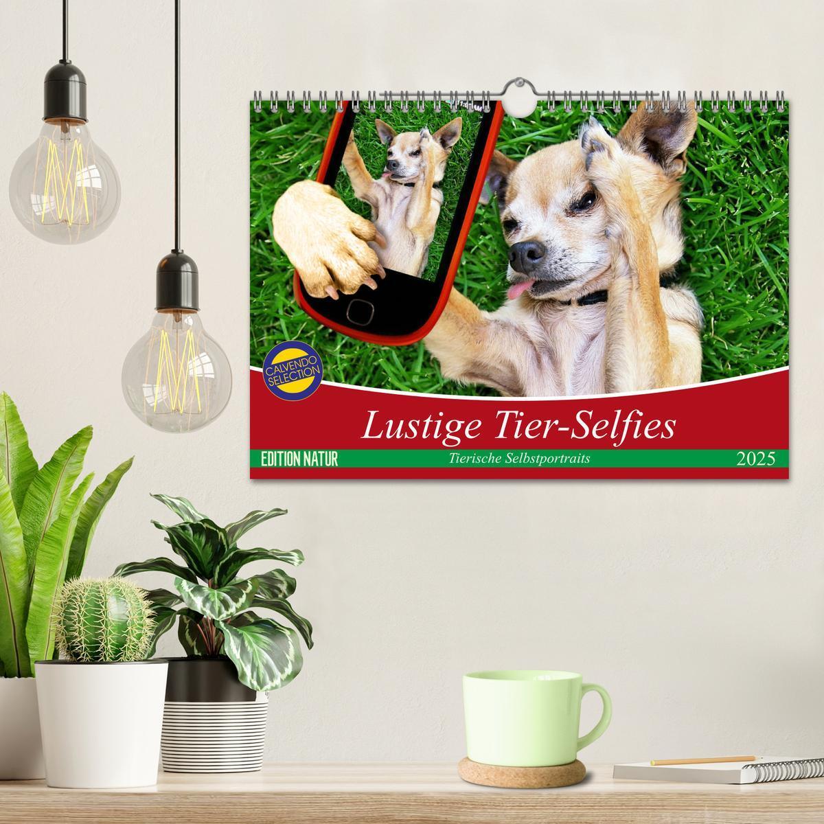 Bild: 9783435422029 | Lustige Tier-Selfies. Tierische Selbstportraits (Wandkalender 2025...