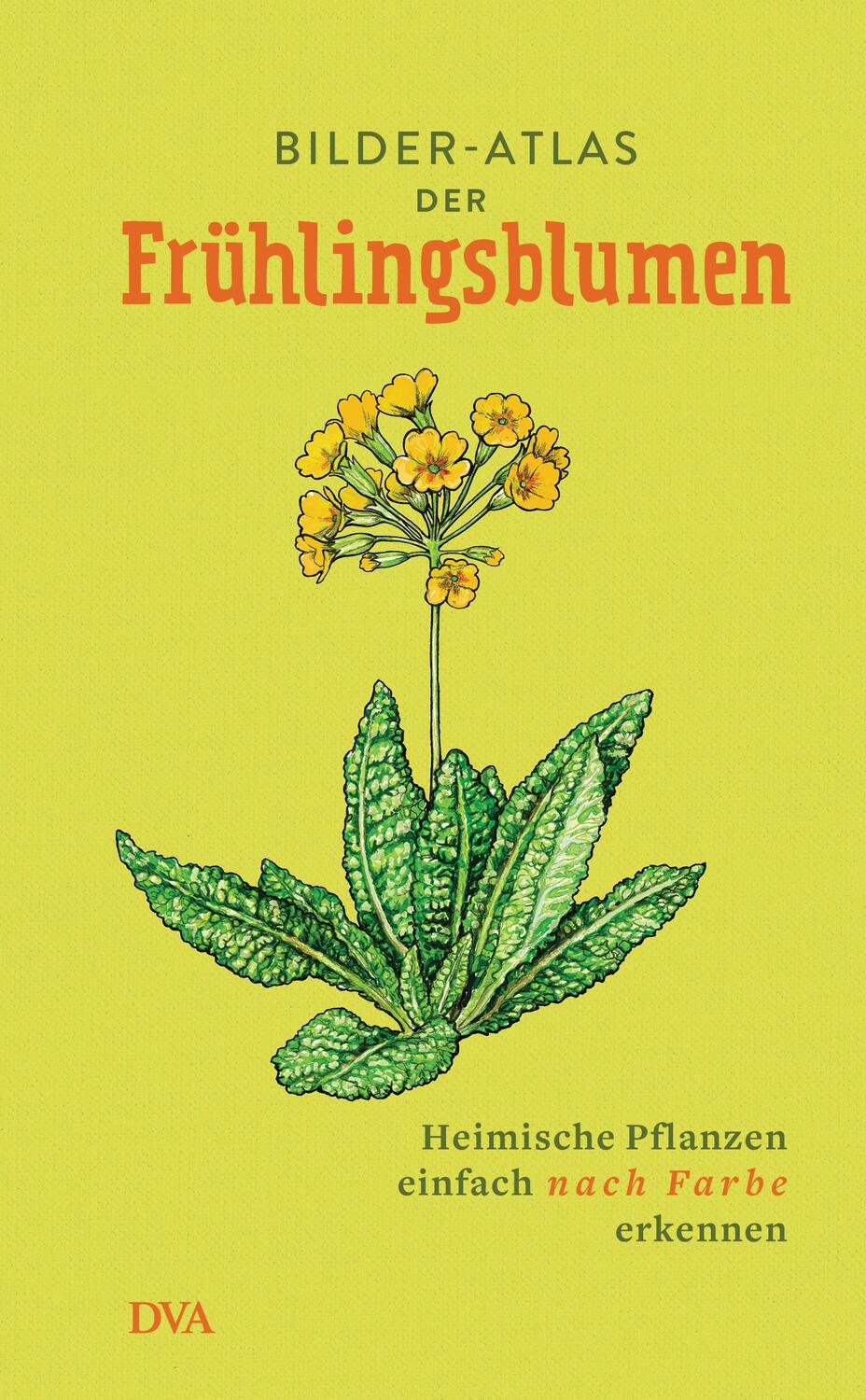Cover: 9783421040657 | Bilder-Atlas der Frühlingsblumen | Buch | Deutsch | 2018 | DVA