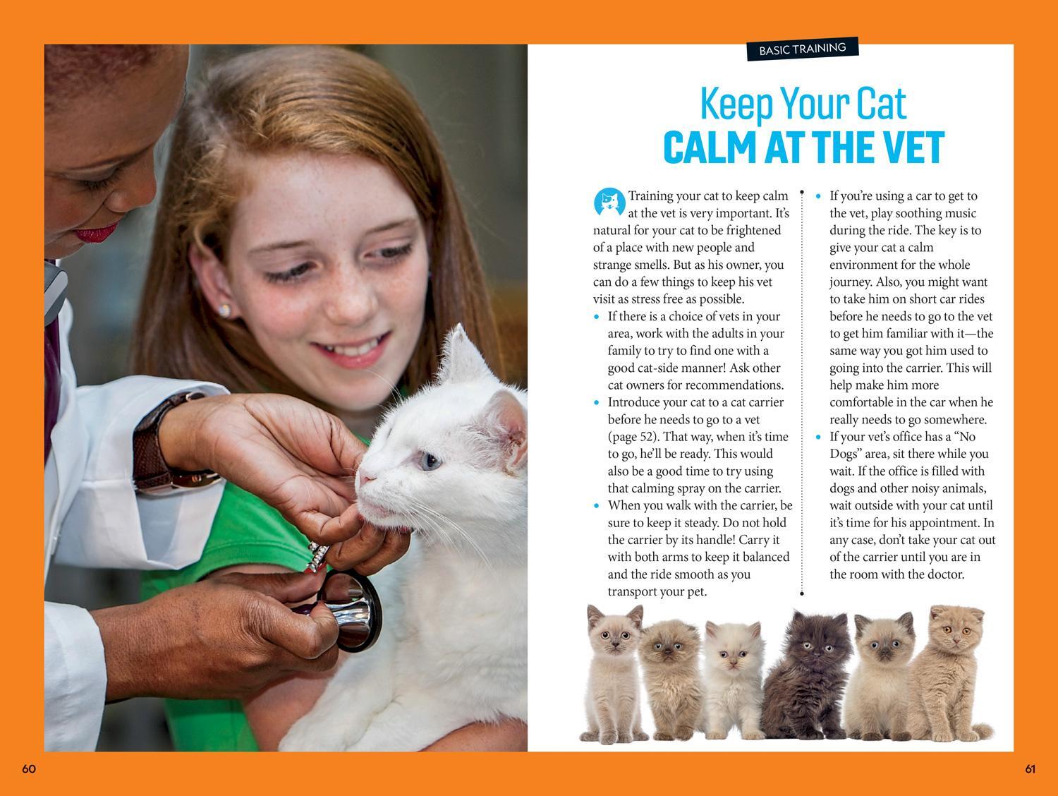 Bild: 9781426338465 | Pounce! a How to Speak Cat Training Guide | Gary Weitzman | Buch