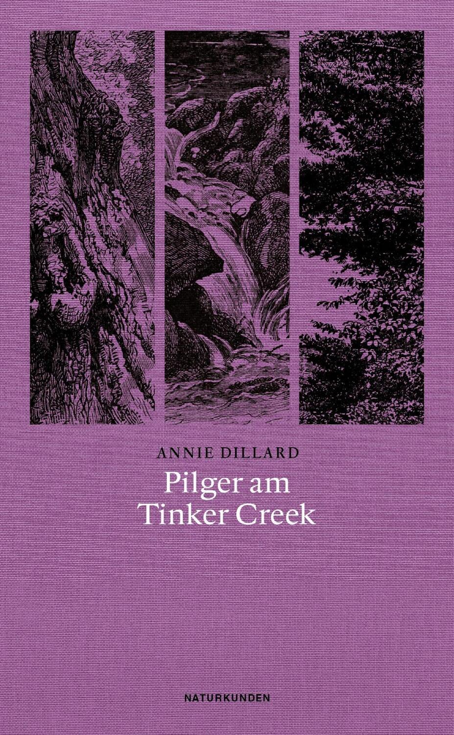 Cover: 9783957573346 | Pilger am Tinker Creek | Annie Dillard | Taschenbuch | Naturkunden