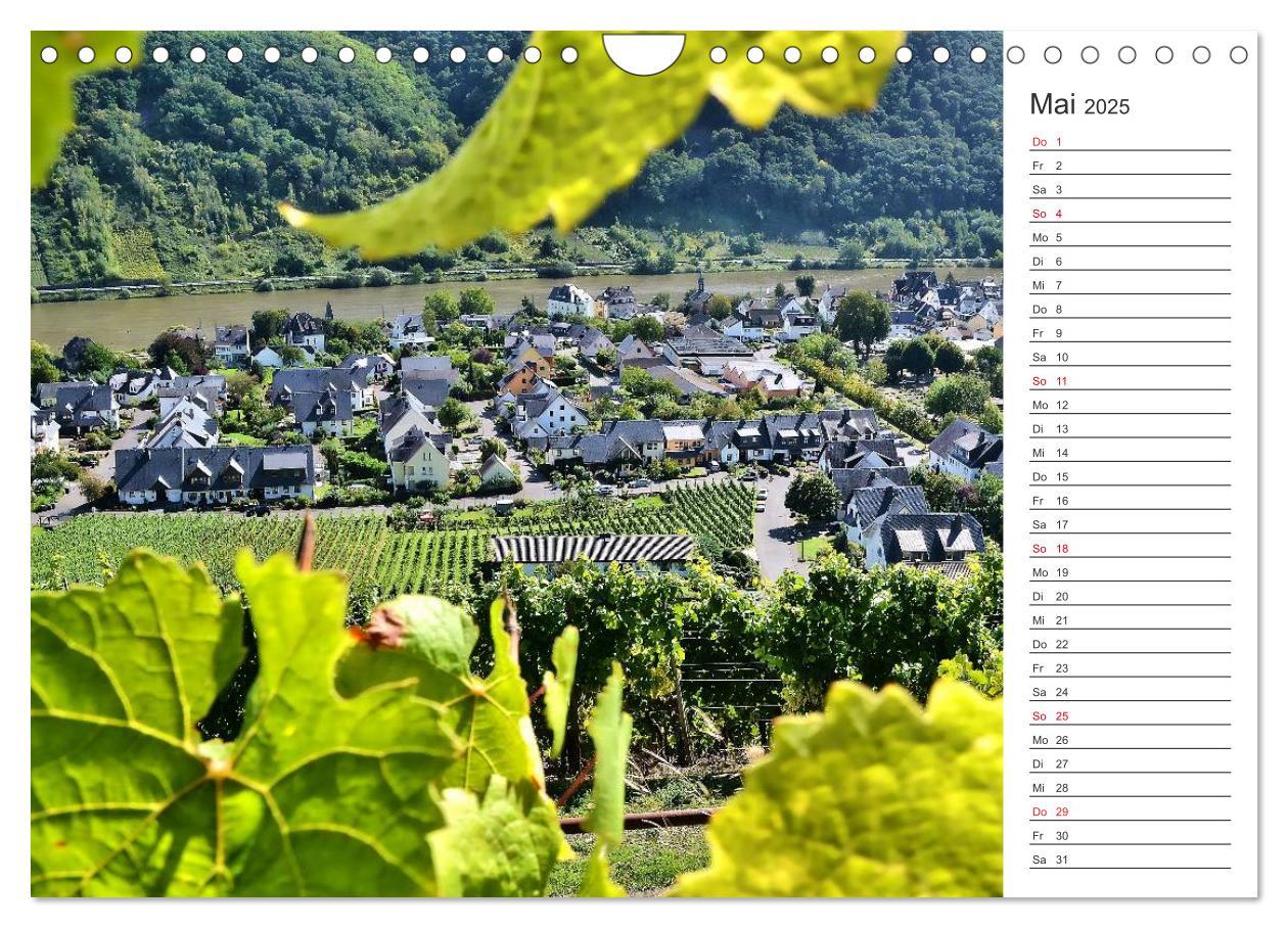 Bild: 9783435549252 | Bildschön - Die Mosel (Wandkalender 2025 DIN A4 quer), CALVENDO...