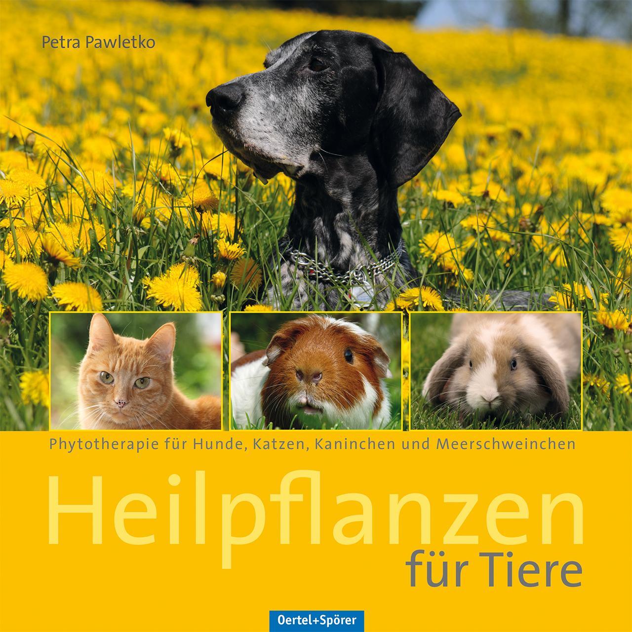Cover: 9783886279098 | Heilpflanzen für Tiere | Petra Pawletko | Taschenbuch | Deutsch | 2013