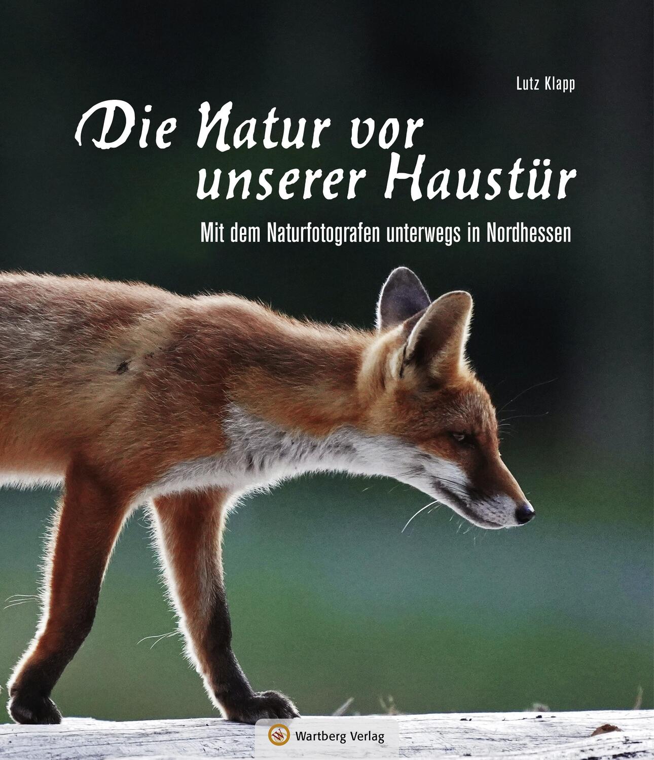 Cover: 9783831333097 | Nordhessen - Die Natur vor unserer Haustür | Lutz Klapp | Buch | 2021