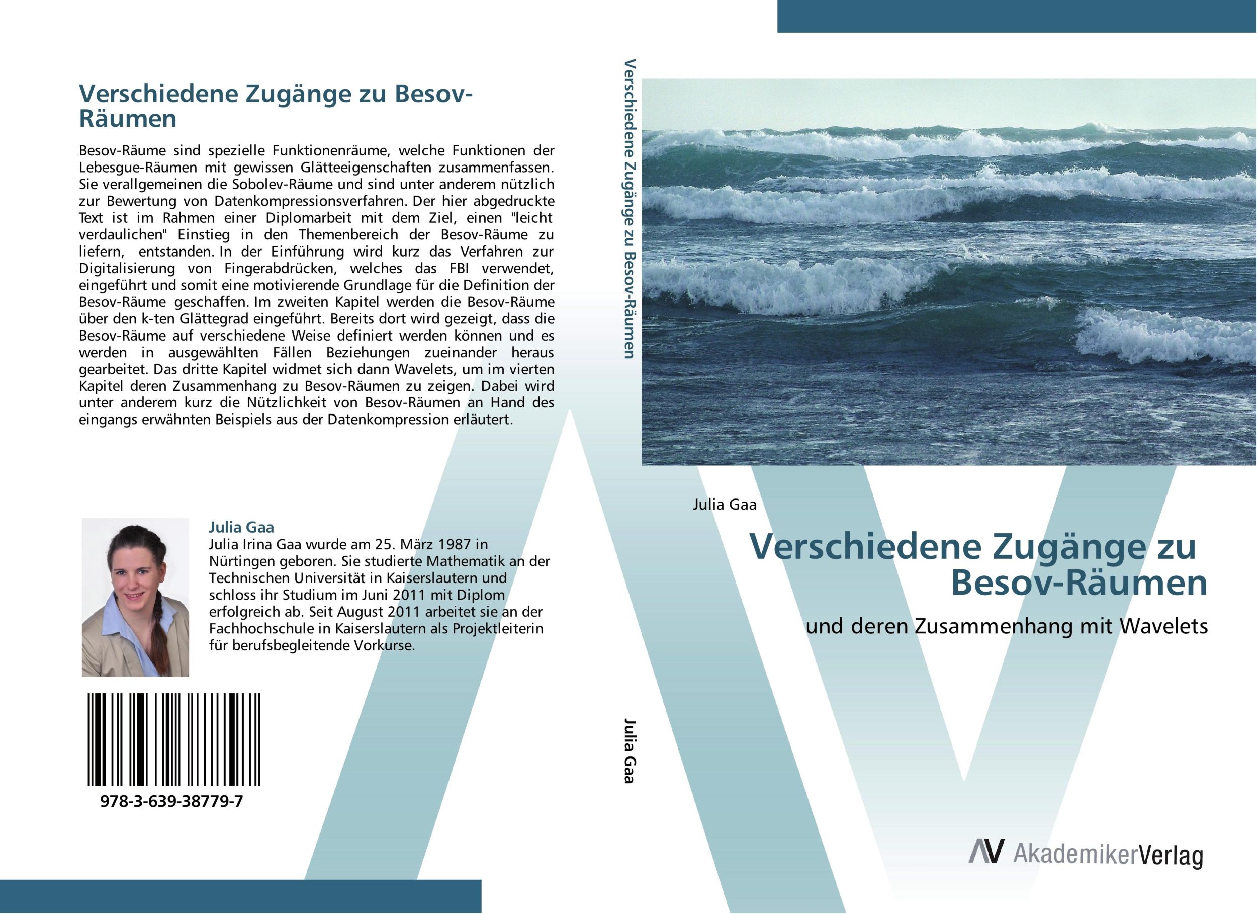 Cover: 9783639387797 | Verschiedene Zugänge zu Besov-Räumen | Julia Gaa | Taschenbuch | 2012