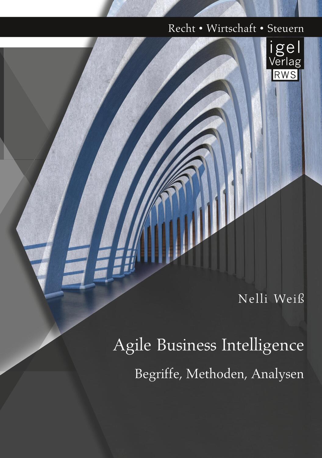 Cover: 9783954853663 | Agile Business Intelligence. Begriffe, Methoden, Analysen | Nelli Weiß