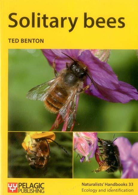 Cover: 9781784270889 | Solitary Bees | Ted Benton | Taschenbuch | Kartoniert / Broschiert