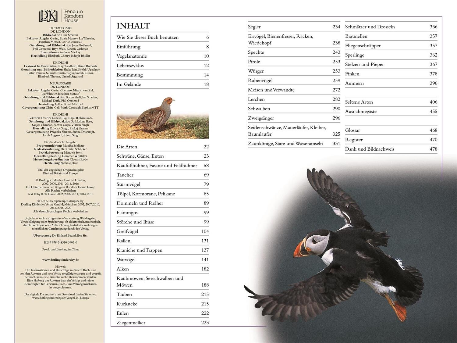 Bild: 9783831039050 | Vögel in Europa | Rob Hume | Taschenbuch | 480 S. | Deutsch | 2020