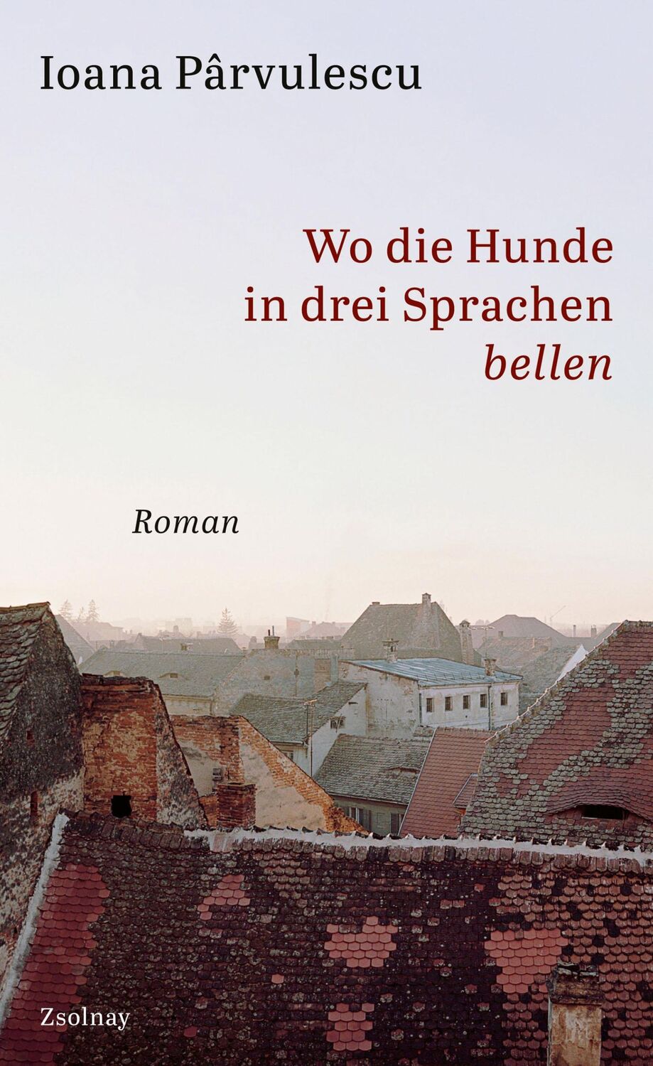 Cover: 9783552072282 | Wo die Hunde in drei Sprachen bellen | Roman | Ioana Parvulescu | Buch