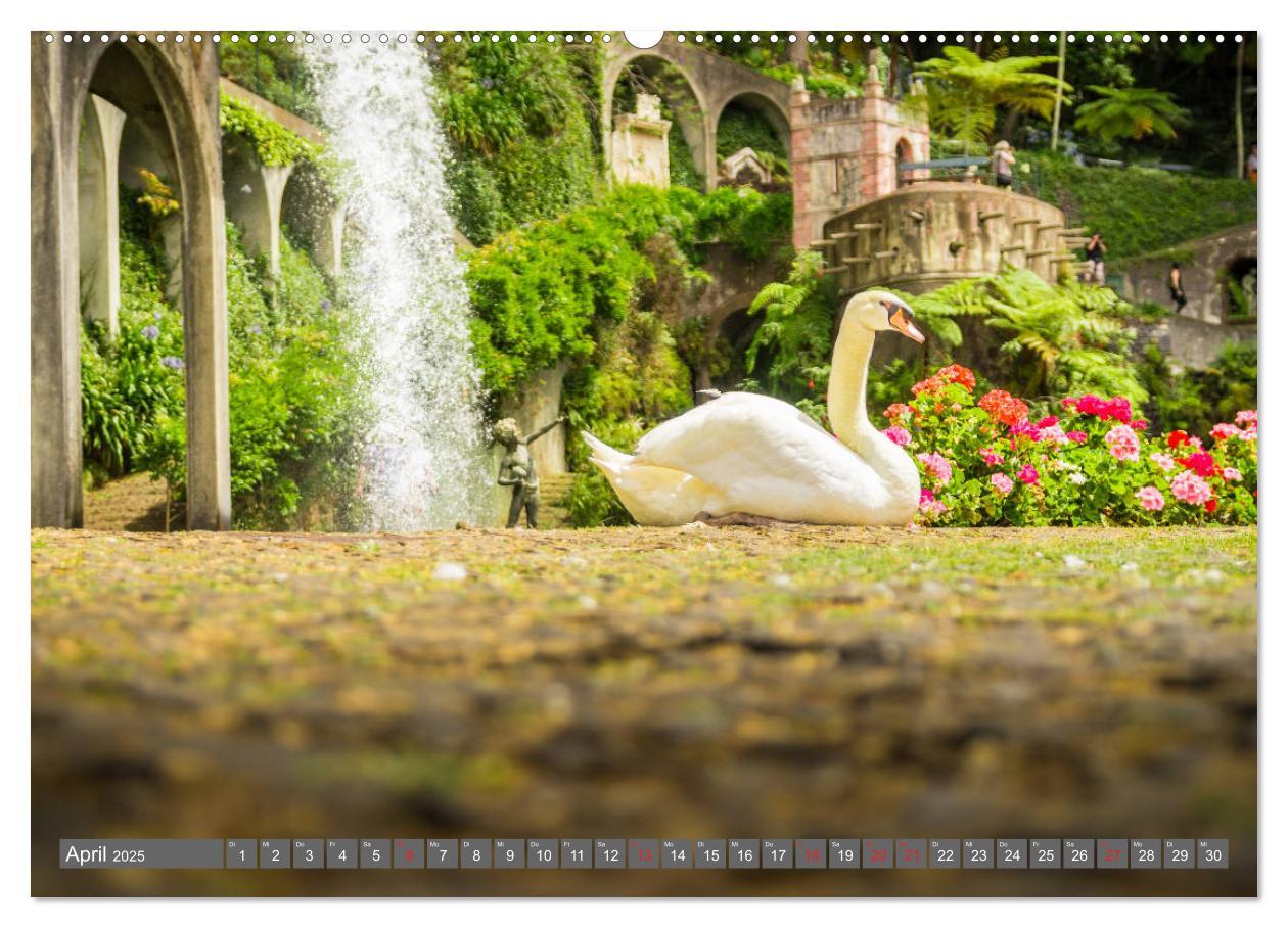 Bild: 9783435222308 | Madeira - Insel der Blumen 2025 (Wandkalender 2025 DIN A2 quer),...