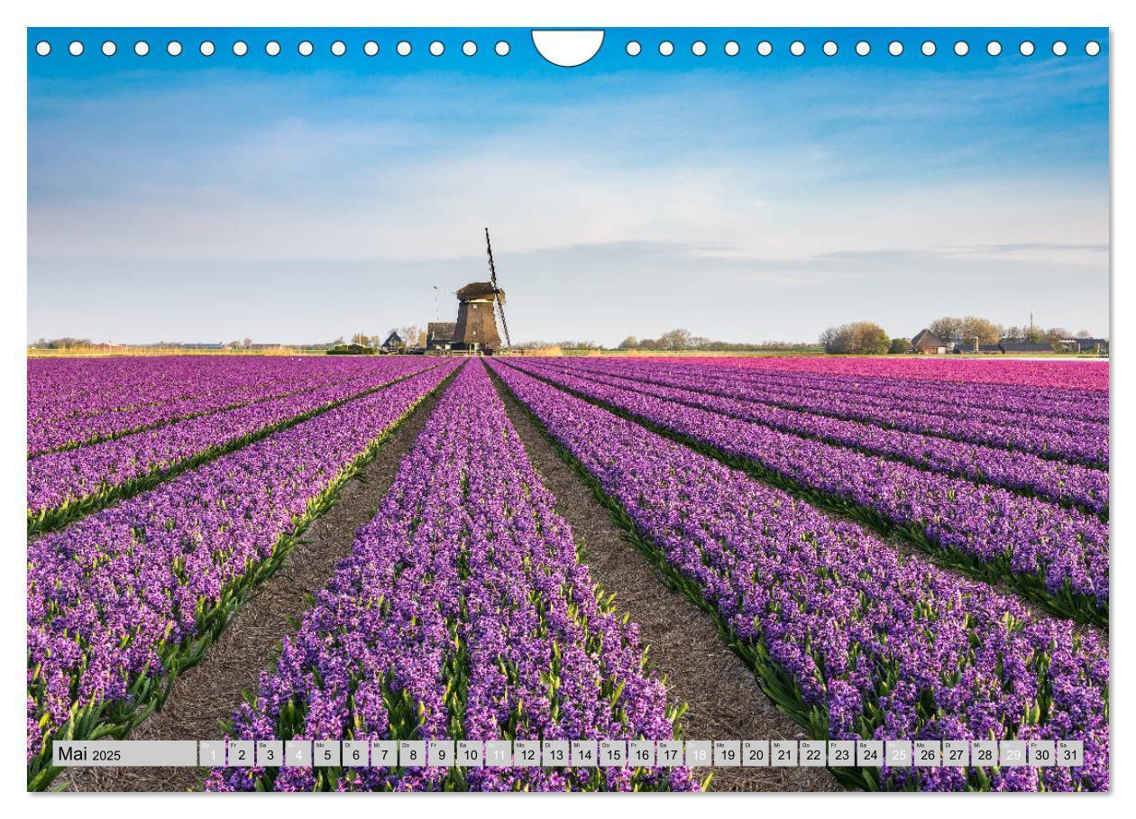 Bild: 9783435116737 | Wunderschöne Niederlande (Wandkalender 2025 DIN A4 quer), CALVENDO...