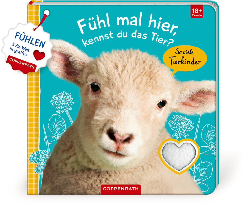 Cover: 9783649638636 | Fühl mal hier, kennst du das Tier? So viele Tierkinder | Buch | 10 S.