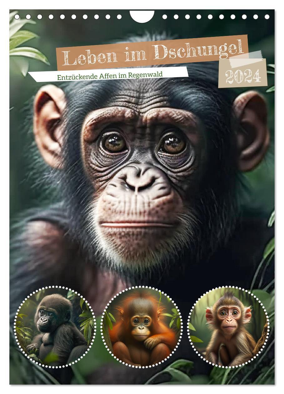 Cover: 9783675593299 | Leben im Dschungel. Entzückende Affen im Regenwald (Wandkalender...