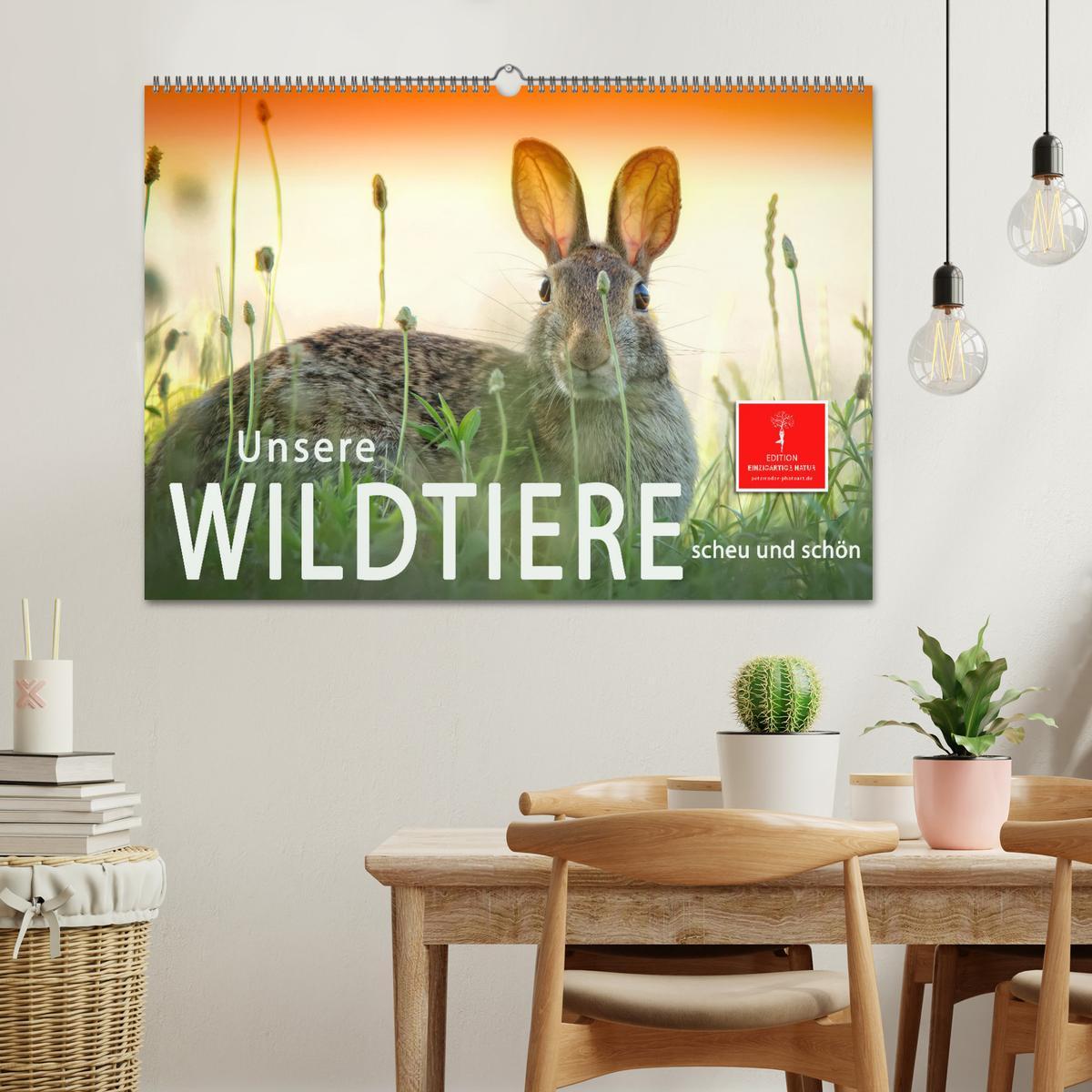 Bild: 9783435093670 | Unsere Wildtiere - scheu und schön (Wandkalender 2025 DIN A2 quer),...