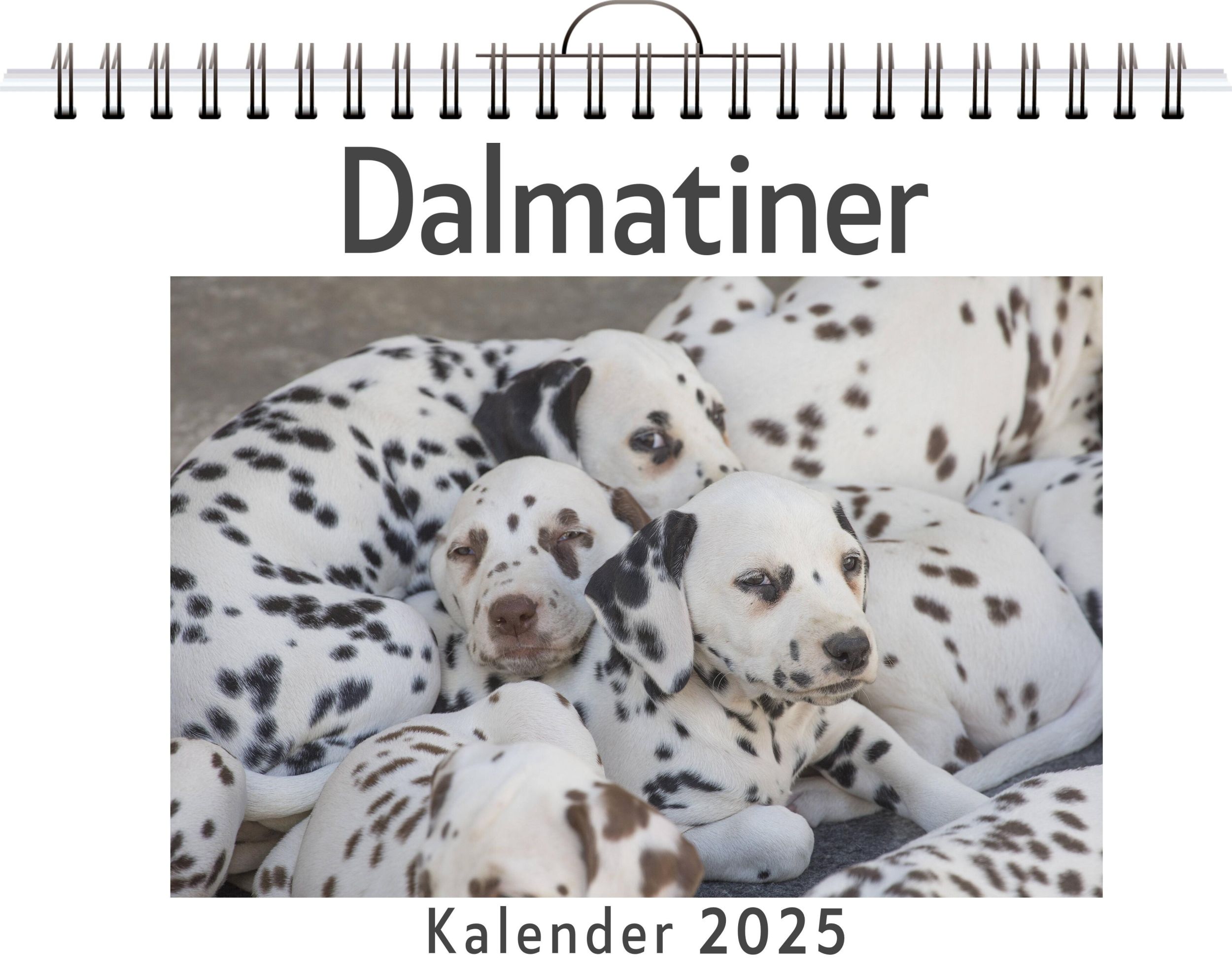 Cover: 9783759132765 | Dalmatiner | Laura Maier | Kalender | Kalender | 14 S. | Deutsch