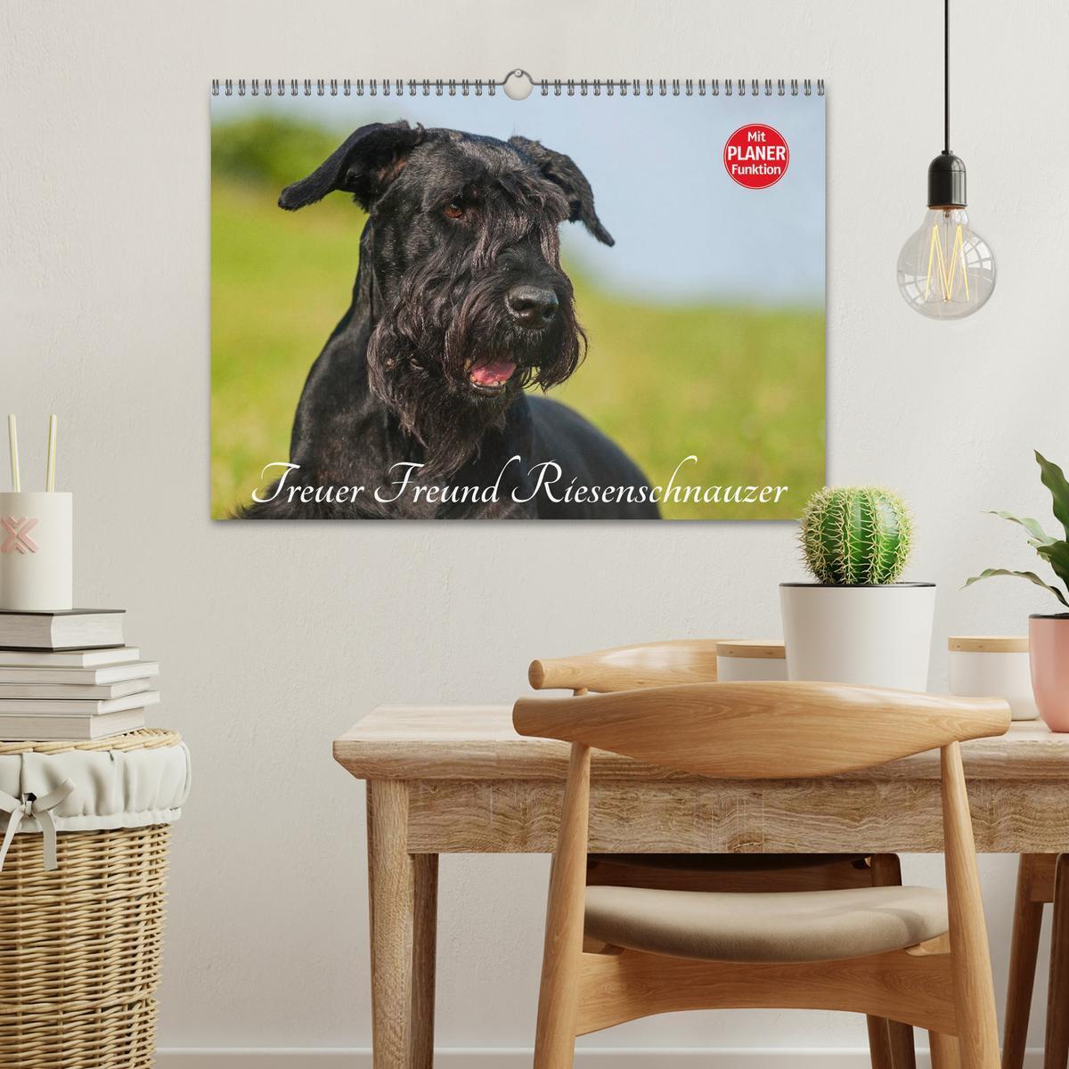 Bild: 9783435545049 | Treuer Freund Riesenschnauzer (Wandkalender 2025 DIN A3 quer),...