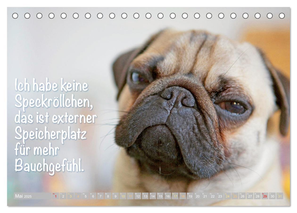 Bild: 9783435070787 | Der Mops: Nicht klein, sondern aufs Wesentliche reduziert. Edition...