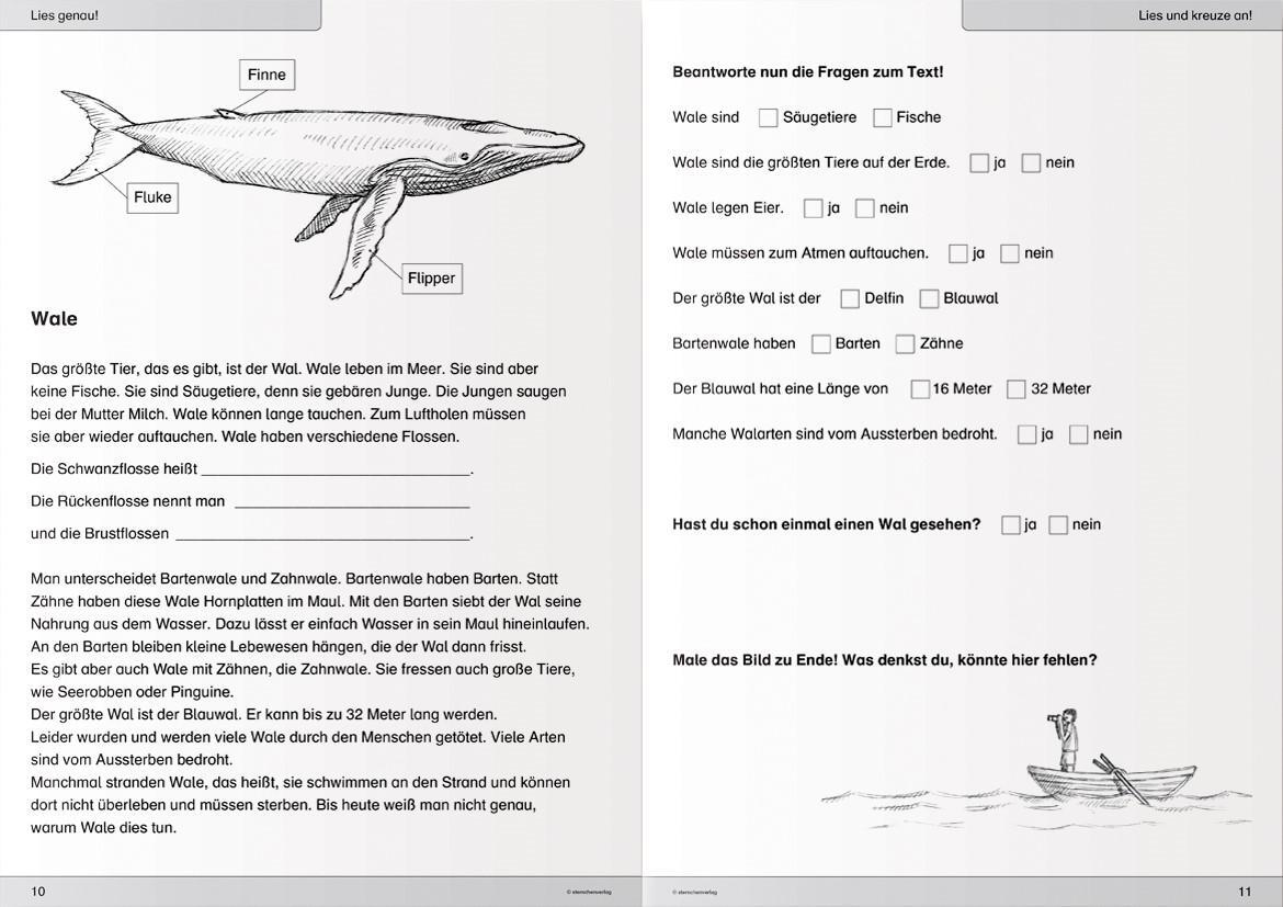 Bild: 9783981220797 | Ich kann lesen 3. Schüler-Arbeitsheft für die 2. und 3. Klasse | Buch