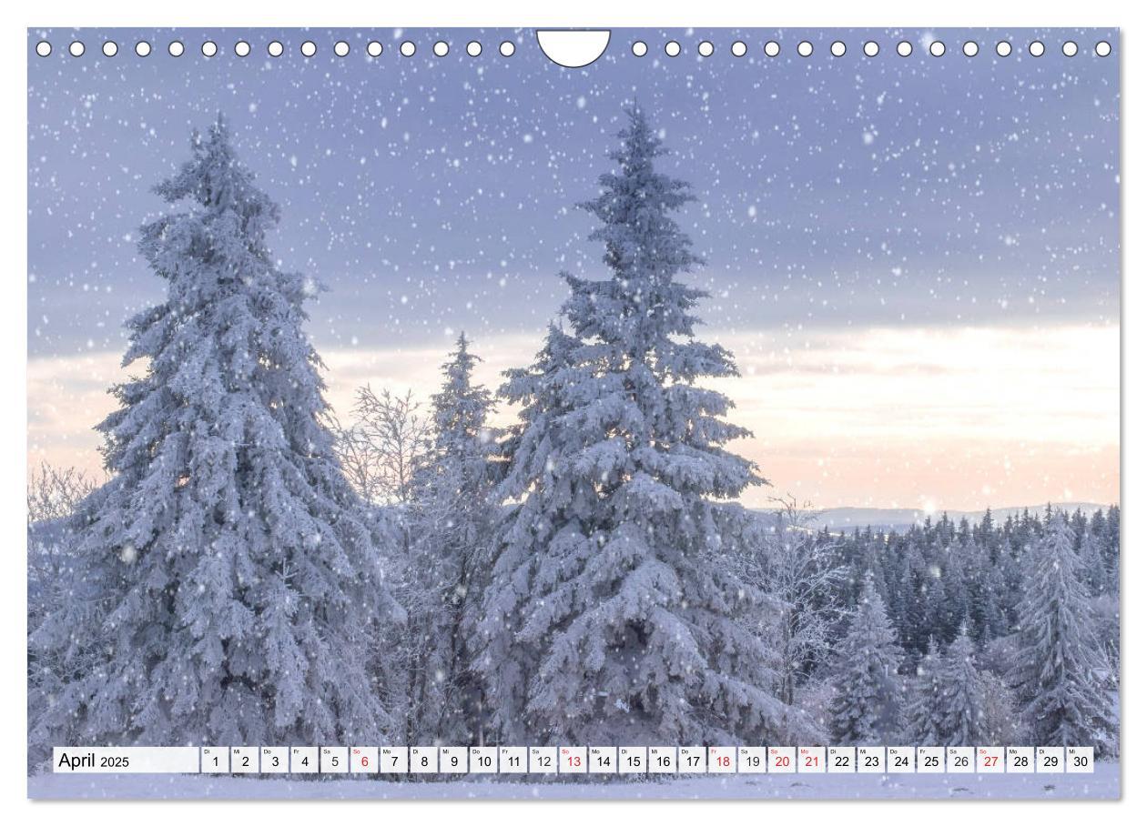 Bild: 9783435175383 | Eiszeit. Winter und Frost in der Natur (Wandkalender 2025 DIN A4...