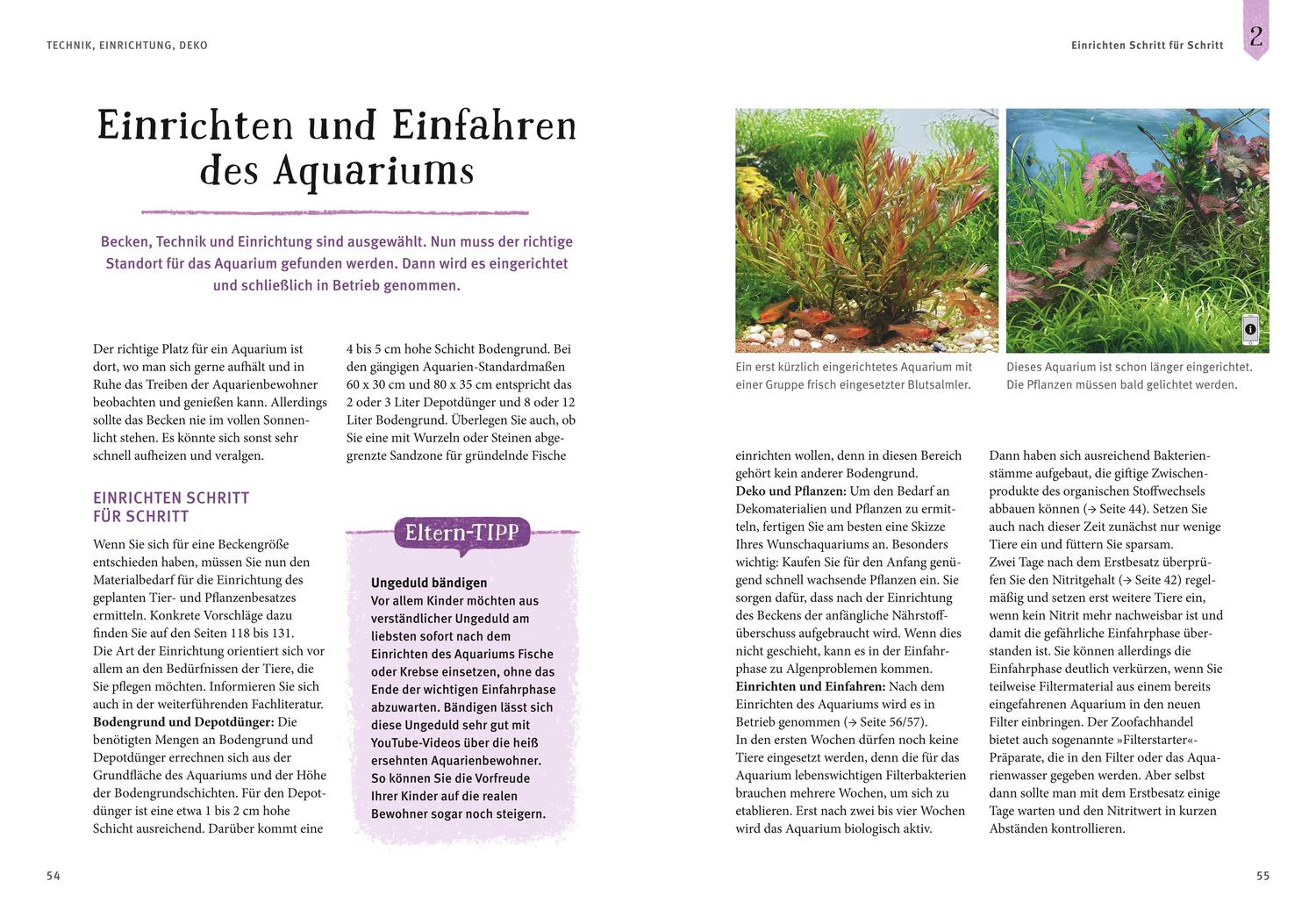Bild: 9783833848513 | Faszinierendes Aquarium | Ulrich Schliewen | Taschenbuch | 144 S.
