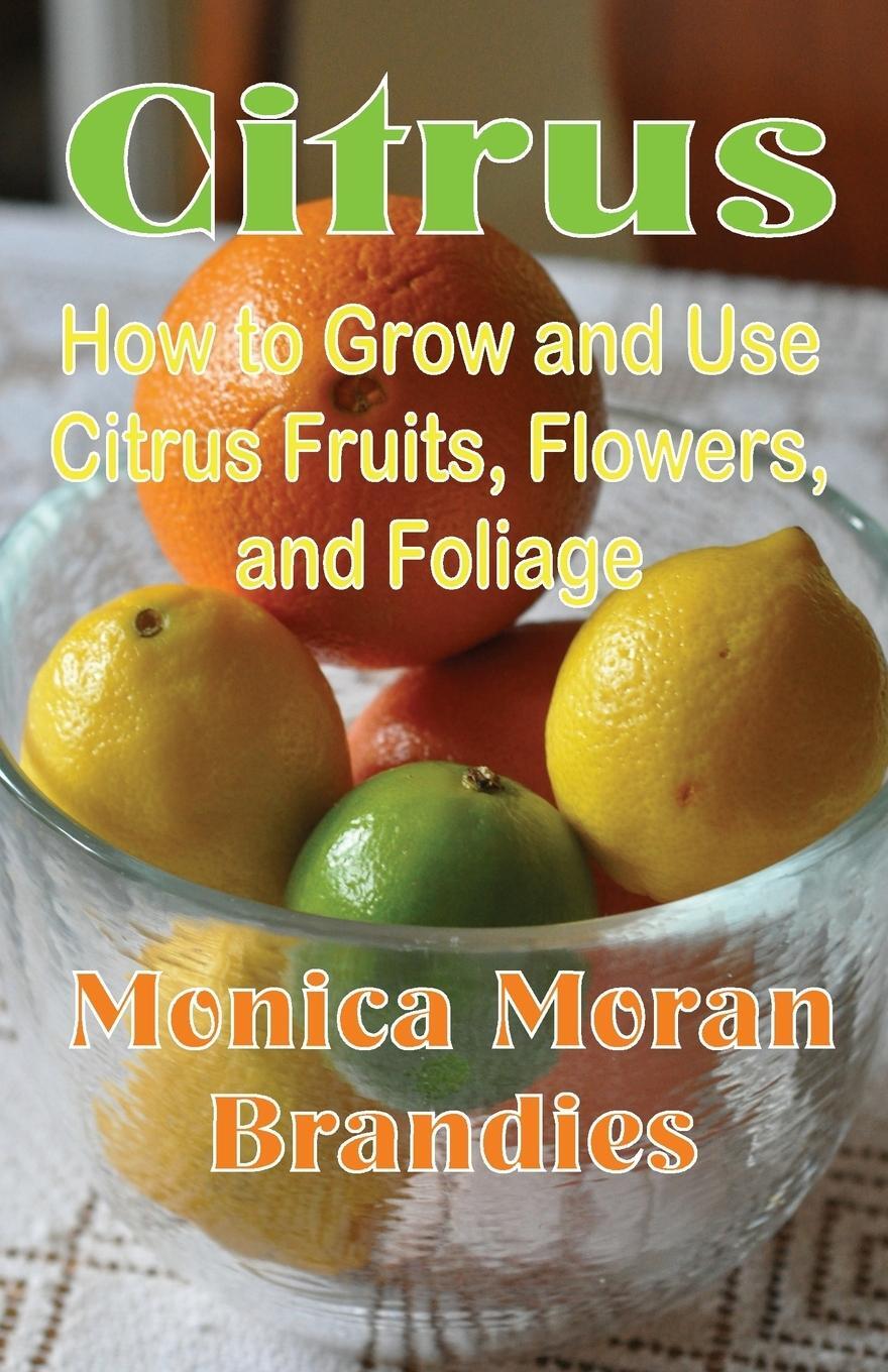 Cover: 9781893443181 | Citrus | How to Grow and Use Citrus Fruits, Flowers, and Foliage