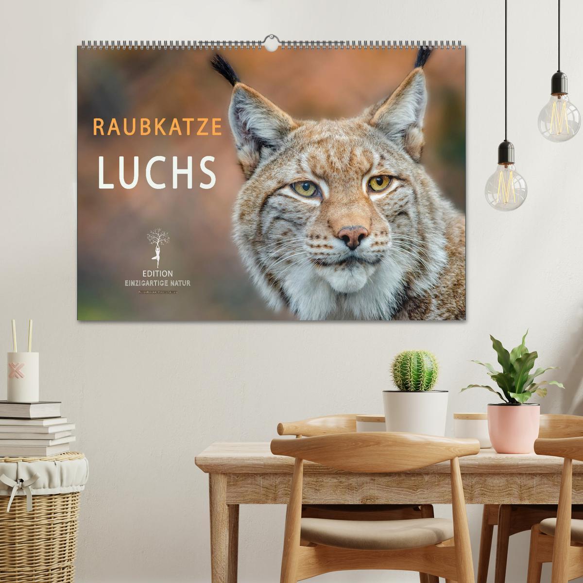 Bild: 9783435118144 | Raubkatze Luchs (Wandkalender 2025 DIN A2 quer), CALVENDO...