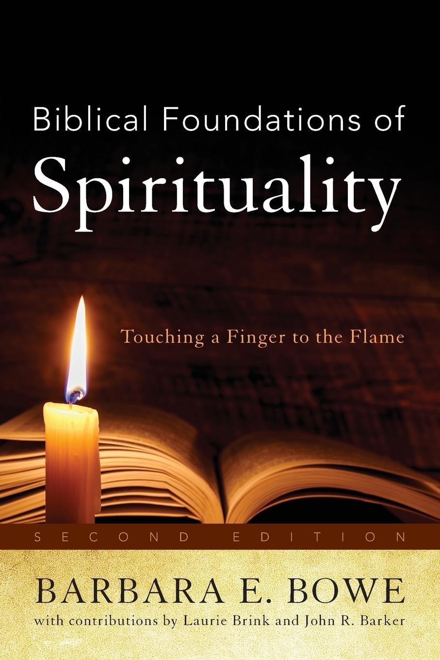 Cover: 9780742559615 | Biblical Foundations of Spirituality | Touching a Finger to the Flame