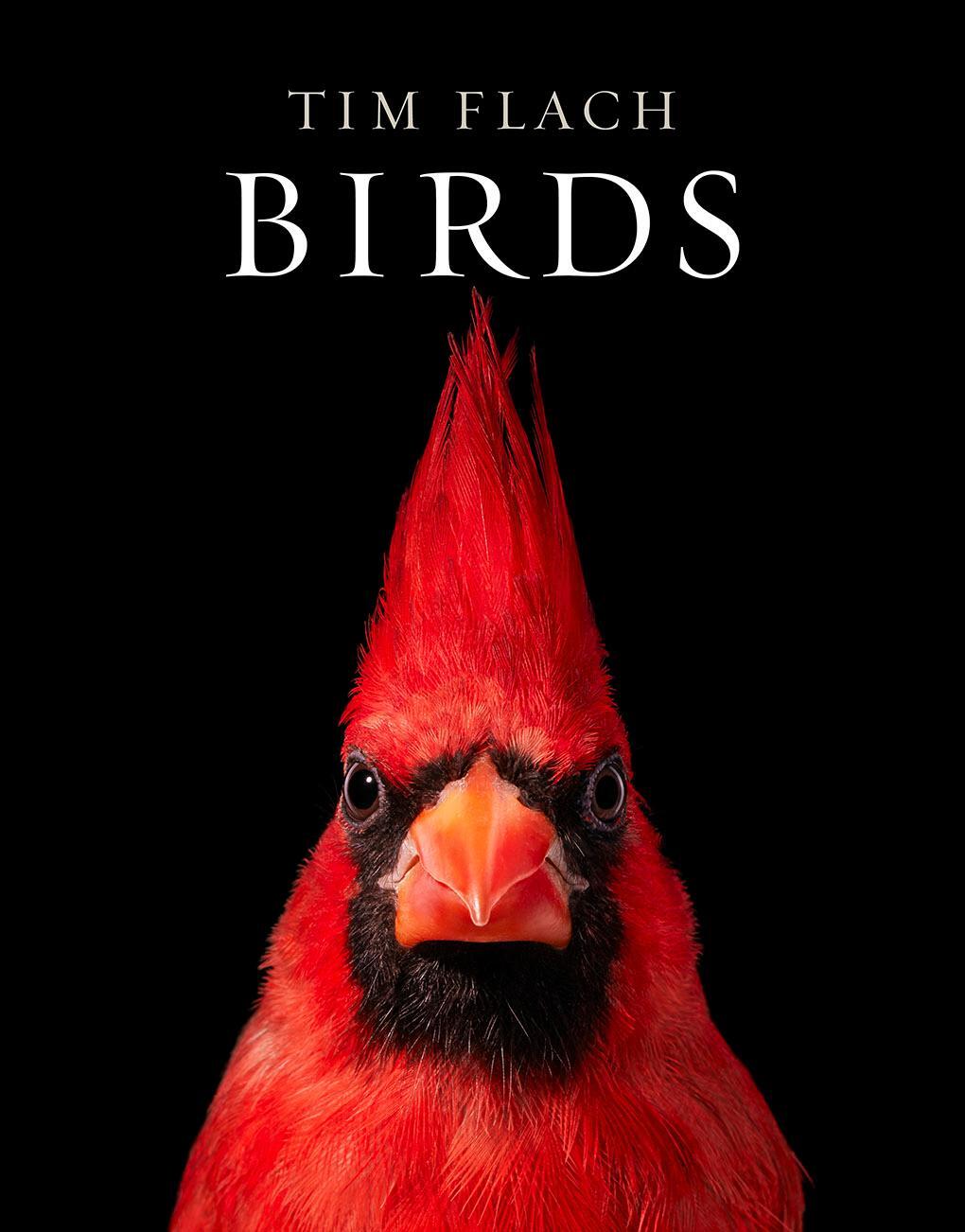 Cover: 9781419747618 | Birds | Tim Flach | Buch | 336 S. | Englisch | 2021