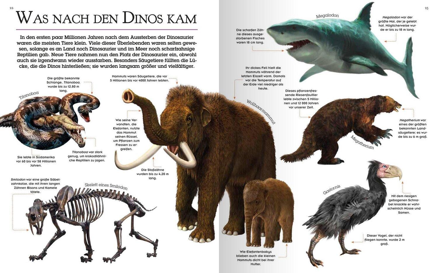 Bild: 9783741527241 | Das große Dinosaurierbuch | Claudia Martin | Buch | 128 S. | Deutsch