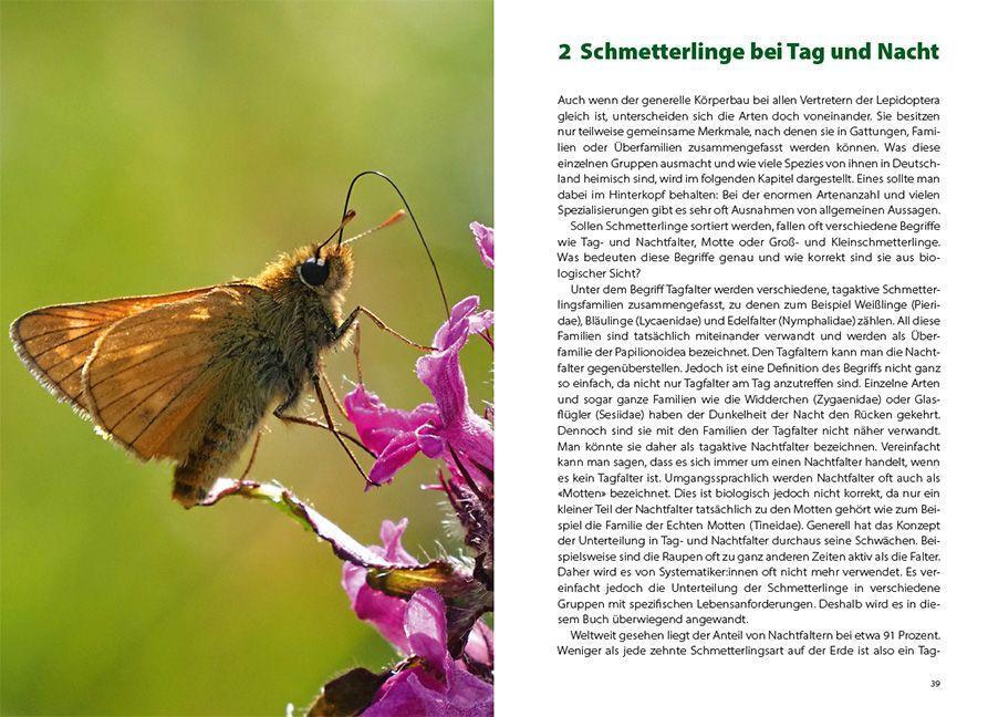 Bild: 9783258083582 | Schmetterlingswissen | Biologie, Lebensräume, Beobachtung | Possienke
