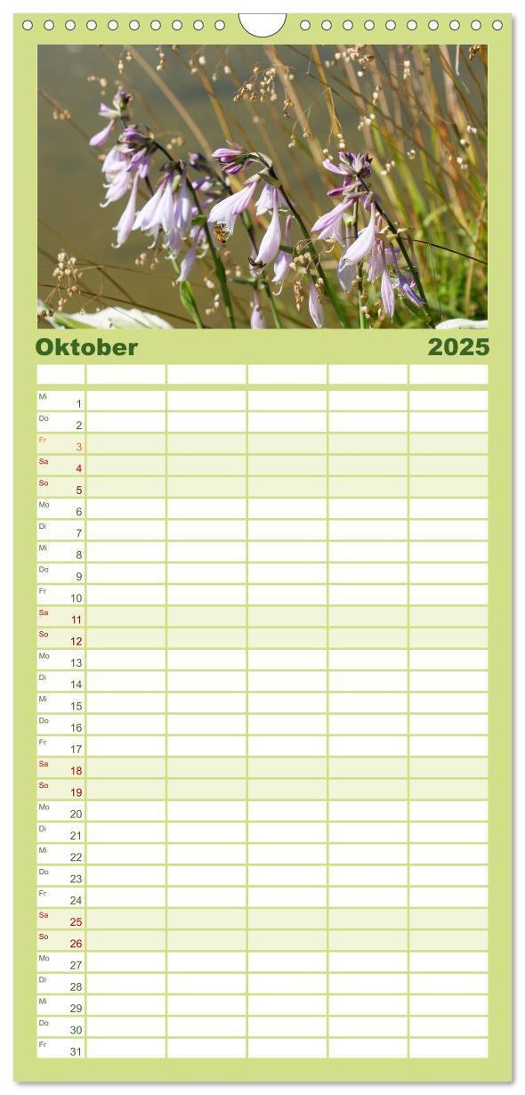 Bild: 9783457100844 | Familienplaner 2025 - Sanfte Natur mit 5 Spalten (Wandkalender, 21...