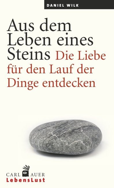 Cover: 9783849700379 | Aus dem Leben eines Steins | Daniel Wilk | Taschenbuch | 76 S. | 2014