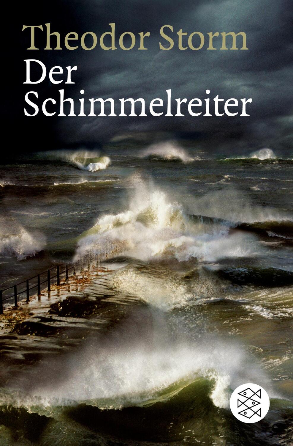 Cover: 9783596159826 | Der Schimmelreiter | Novelle | Theodor Storm | Taschenbuch | Paperback