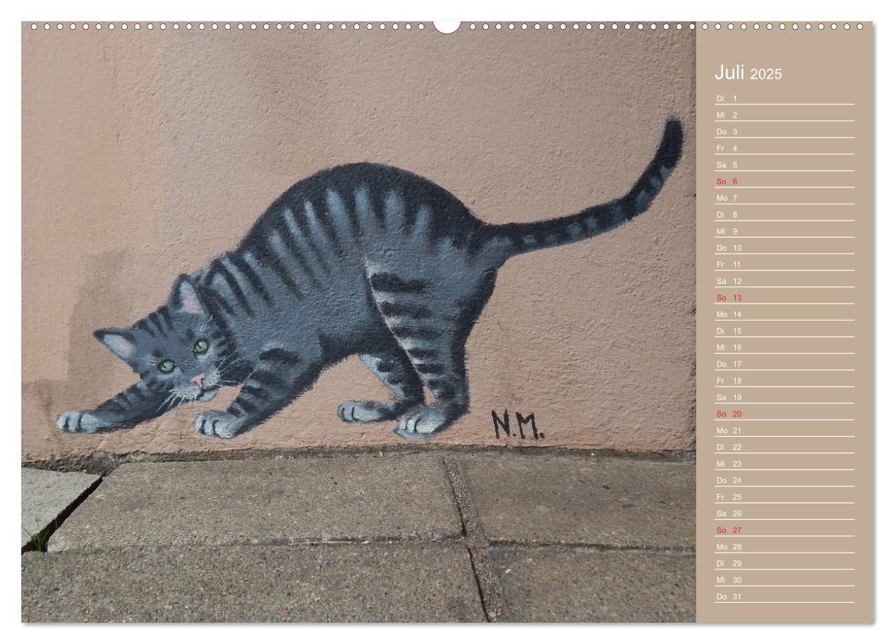 Bild: 9783435289691 | Flensburger Katzen (Wandkalender 2025 DIN A2 quer), CALVENDO...