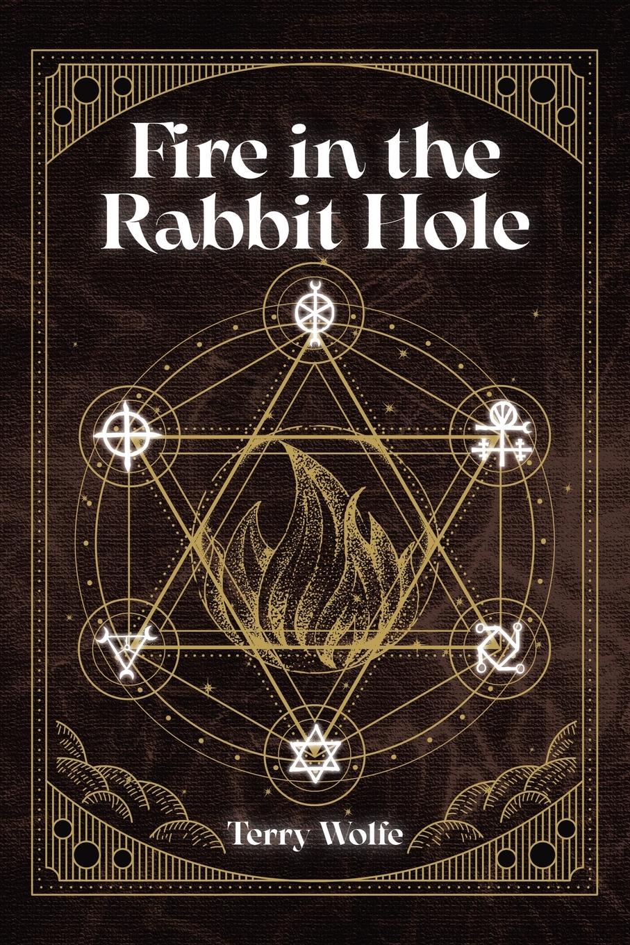 Cover: 9780228873457 | Fire in the Rabbit Hole | Terry Wolfe | Taschenbuch | Englisch | 2022