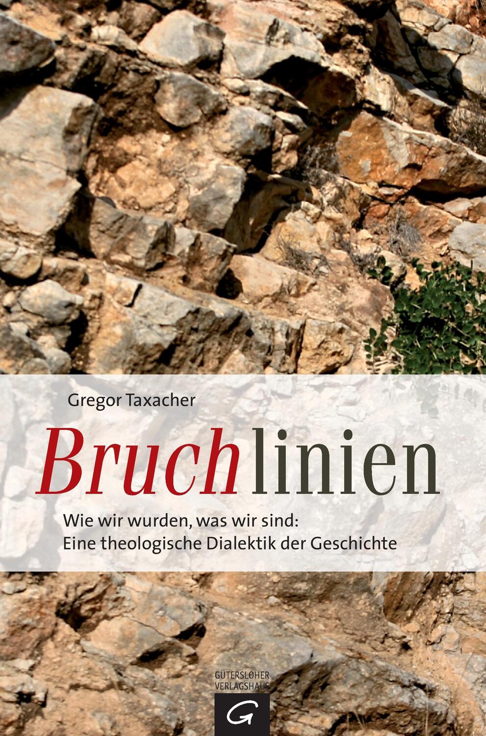 Cover: 9783579081953 | Bruchlinien | Gregor Taxacher | Taschenbuch | Paperback | 618 S.