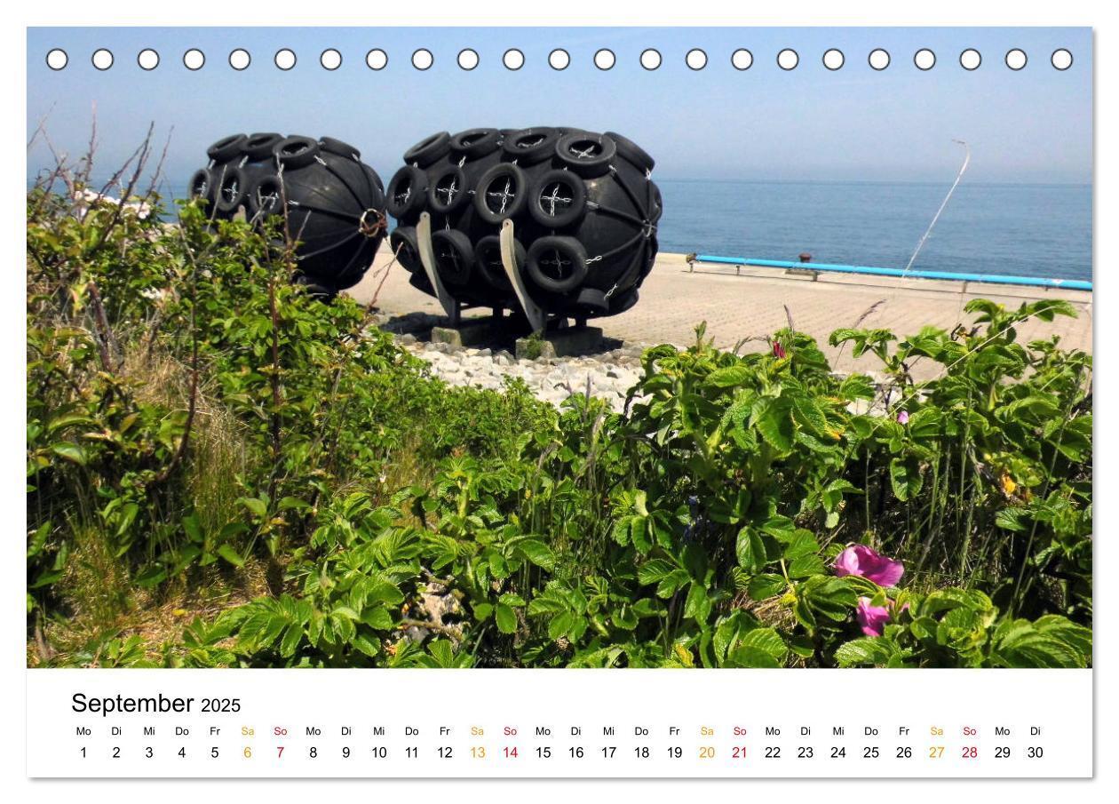 Bild: 9783435402922 | Helgoland Kalender (Tischkalender 2025 DIN A5 quer), CALVENDO...