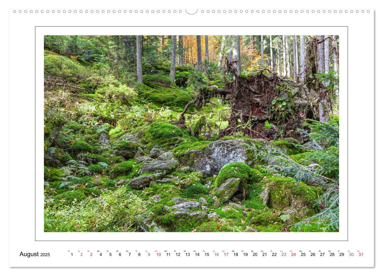 Bild: 9783435461813 | Unterwegs im Bayerischen Wald (Wandkalender 2025 DIN A2 quer),...