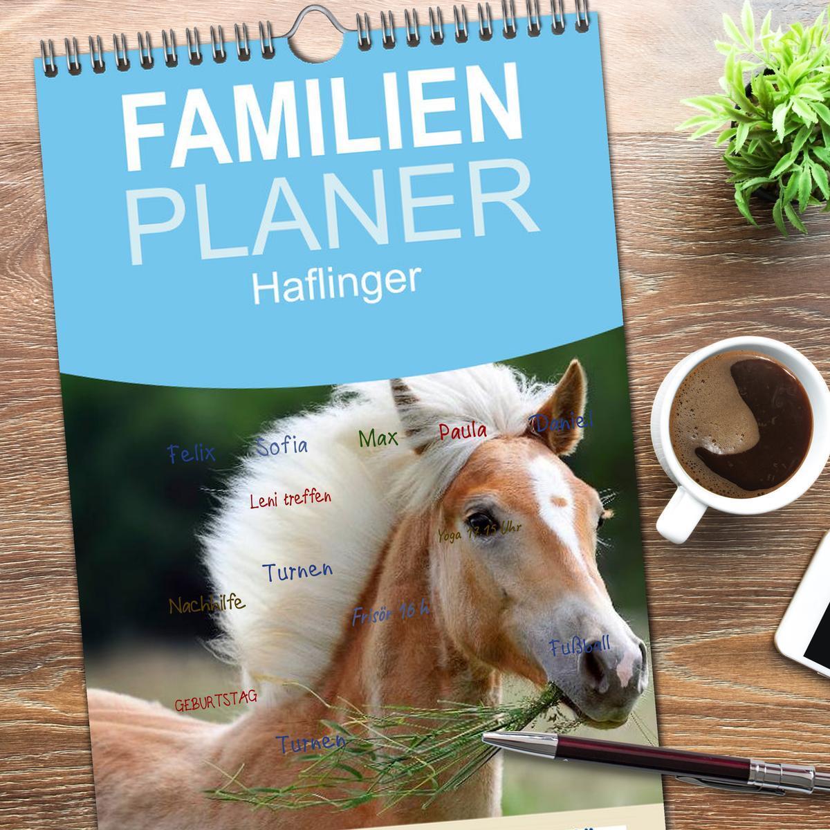 Bild: 9783457123959 | Familienplaner 2025 - Haflinger mit 5 Spalten (Wandkalender, 21 x...