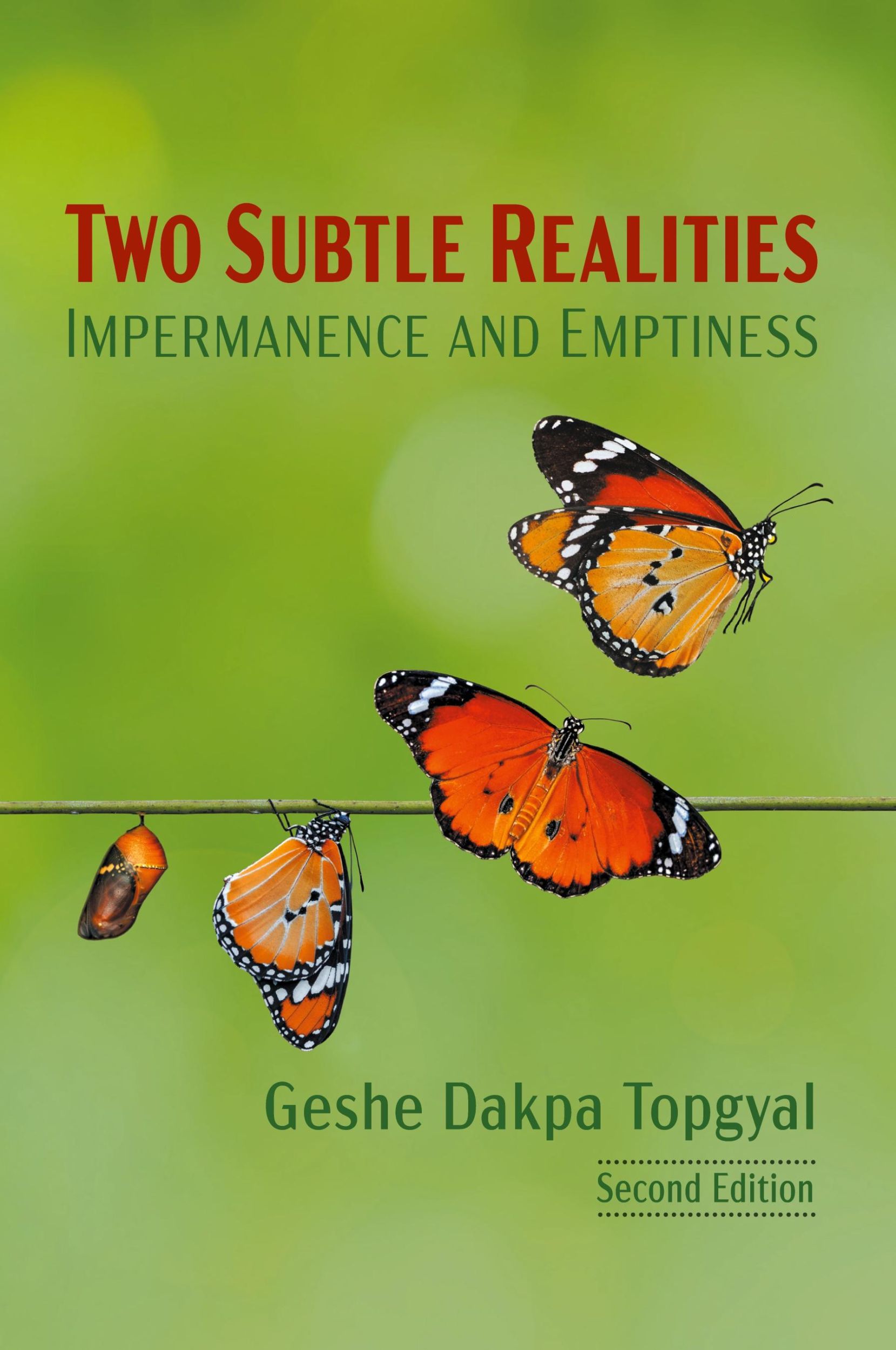 Cover: 9781952518041 | Two Subtle Realities | Impermanence and Emptiness | Dakpa Topgyal