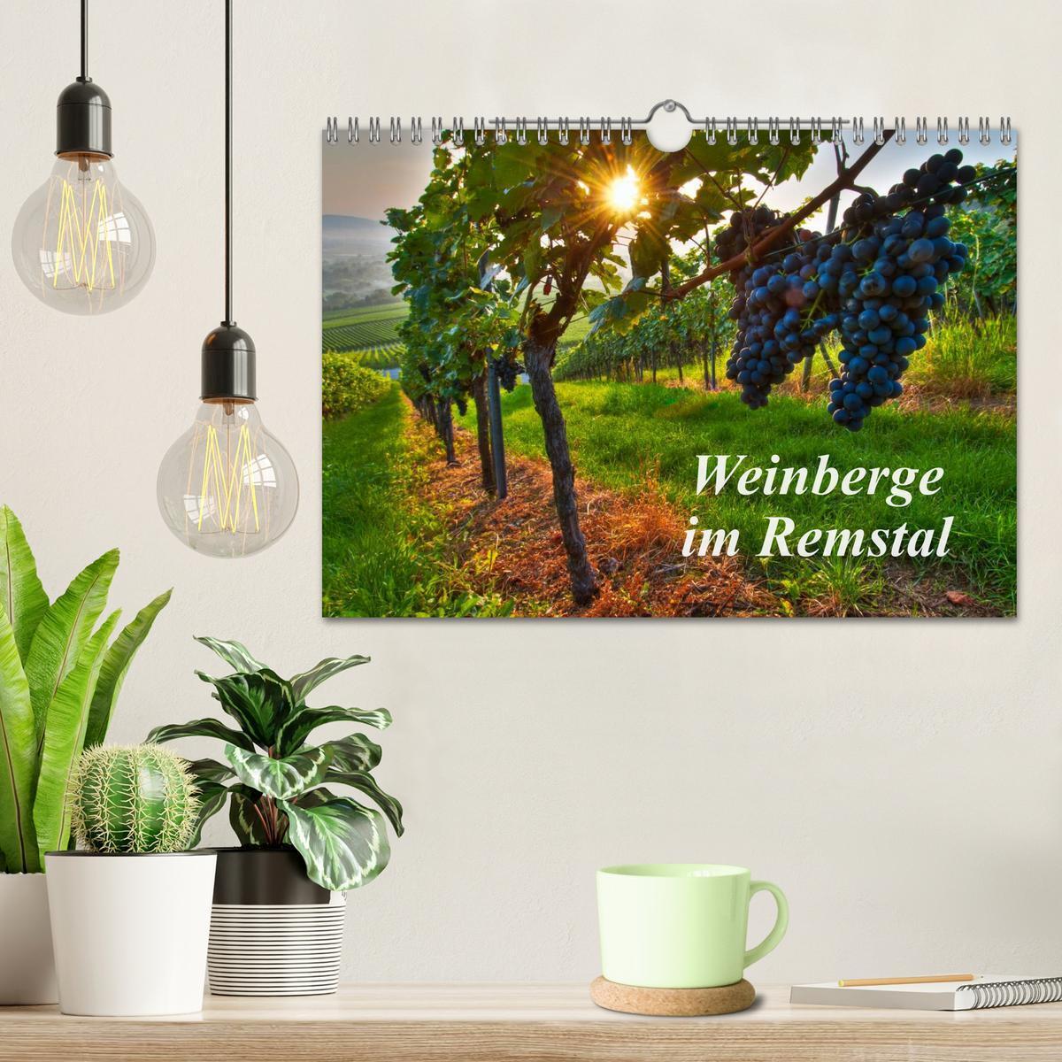 Bild: 9783435718948 | Weinberge im Remstal (Wandkalender 2025 DIN A4 quer), CALVENDO...