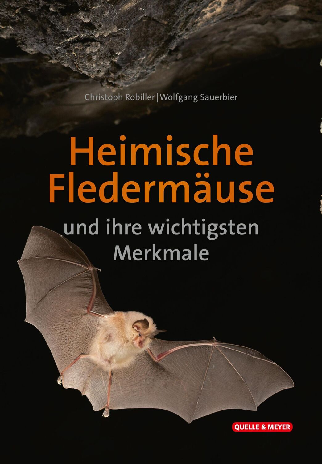 Cover: 9783494019840 | Heimische Fledermäuse und ihre wichtigsten Merkmale | Robiller (u. a.)